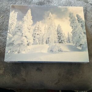 Springbok Winter Wonderland Puzzle